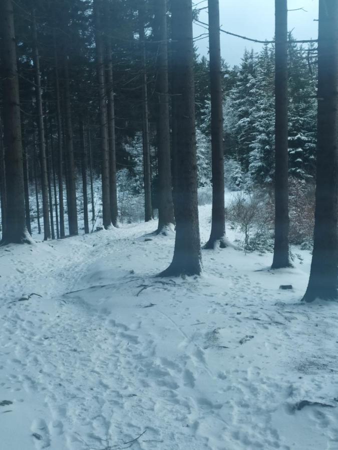 Penzion Bazalka Jablonec nad Nisou Eksteriør billede