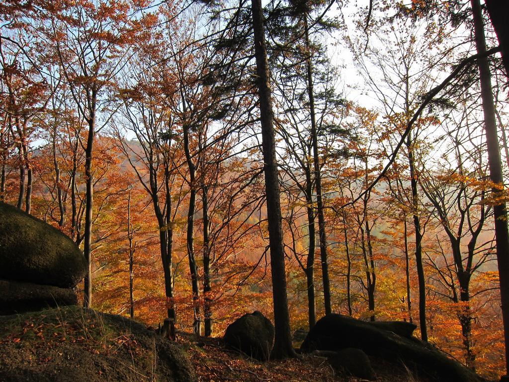 Penzion Bazalka Jablonec nad Nisou Eksteriør billede